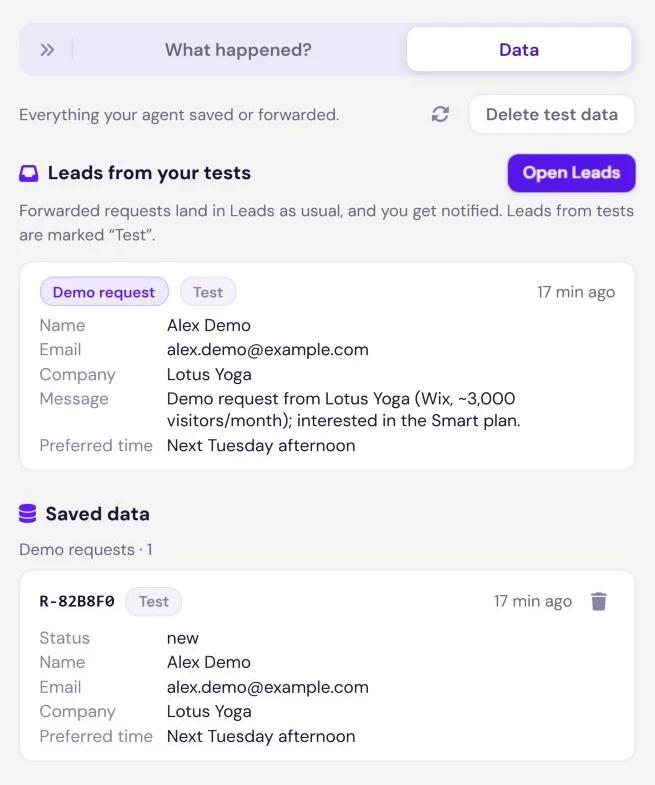 The Data tab with a test lead marked Test and the saved demo request